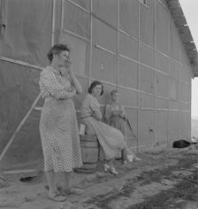 Mrs. Cleaver is raising five sons on new farm, Malheur County, Oregon, 1939. Creator: Dorothea Lange