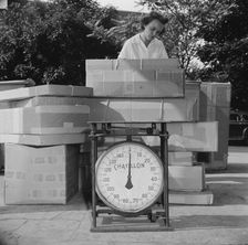 Mrs. Dorothy Bell, Irish-German descent, twenty-seven years old..., New Britain, Connecticut, 1943. Creator: Gordon Parks