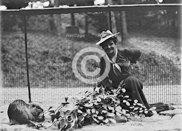 Mrs. Franklin Adams, nee Harriet Chalmers, at Zoo, 1912. Creator: Harris & Ewing.