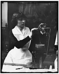 Mrs. H.H. Rogers, between 1910 and 1920. Creator: Harris & Ewing