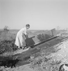 Mrs. Hull closing up the cellar which she has well-filled, Dead Ox Flat, Oregon, 1939. Creator: Dorothea Lange