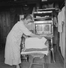 Mrs. Hull drying corn, Dead Ox Flat, Malheur County, Oregon, 1939. Creator: Dorothea Lange