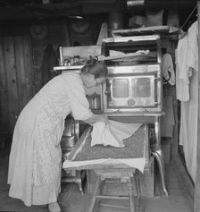 Mrs. Hull drying corn, Dead Ox Flat, Malheur County, Oregon, 1939. Creator: Dorothea Lange