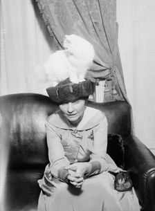 Mrs. R.F. Armstrong & Kilravock Donna-Mafalda [cat], between c1915 and c1920. Creator: Bain News Service