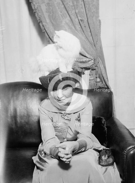 Mrs. R.F. Armstrong & Kilravock Donna-Mafalda [cat], between c1915 and c1920. Creator: Bain News Service.