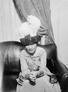 Mrs. R.F. Armstrong & Kilravock Donna-Mafalda [cat], between c1915 and c1920. Creator: Bain News Service