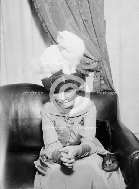 Mrs. R.F. Armstrong & Kilravock Donna-Mafalda [cat], between c1915 and c1920. Creator: Bain News Service.