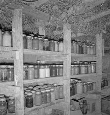 Mrs. Wardlow has 500 quarts of food in her dugout cellar, Dead Ox Flat, Malheur County, Oregon, 1939 Creator: Dorothea Lange