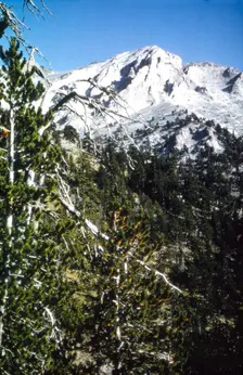 Mt Olympus, Greece, Eastern Slopes in September, showing tree-line, c20th century. Artist: CM Dixon