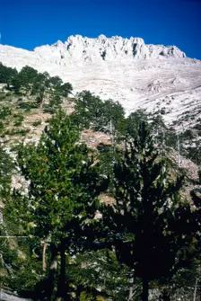 Mt Olympus, Greece, summit from the South, c20th century. Artist: CM Dixon