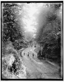 Mt. Royal Road, Montreal, between 1890 and 1901. Creator: William H. Jackson