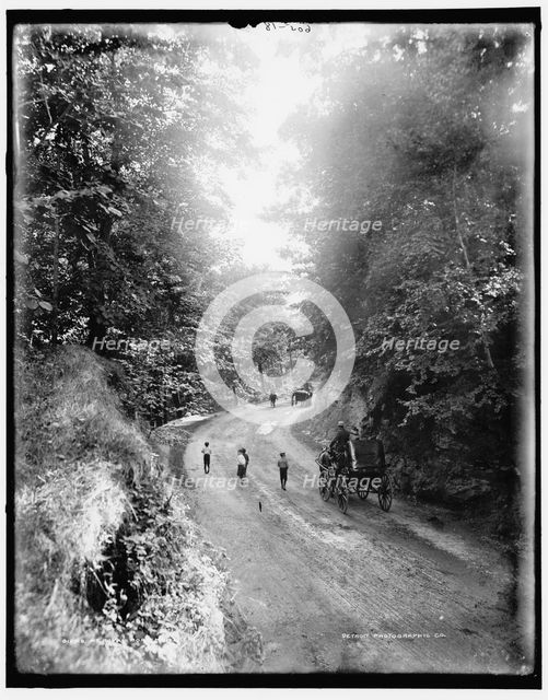 Mt. Royal Road, Montreal, between 1890 and 1901. Creator: William H. Jackson.