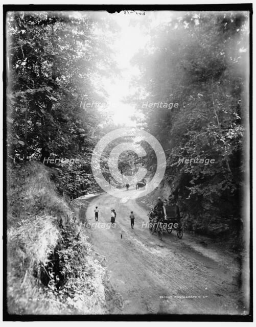 Mt. Royal Road, Montreal, between 1890 and 1901. Creator: William H. Jackson.