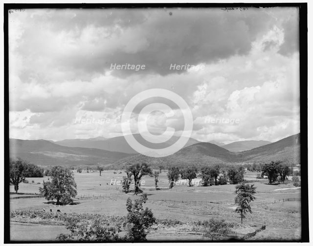 Mt. Washington from Intervale, White Mountains, between 1890 and 1901. Creator: Unknown.