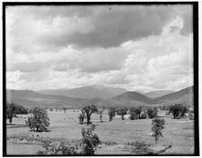 Mt. Washington from Intervale, White Mountains, between 1890 and 1901. Creator: Unknown