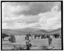 Mt. Washington from Intervale, White Mountains, between 1890 and 1901. Creator: Unknown