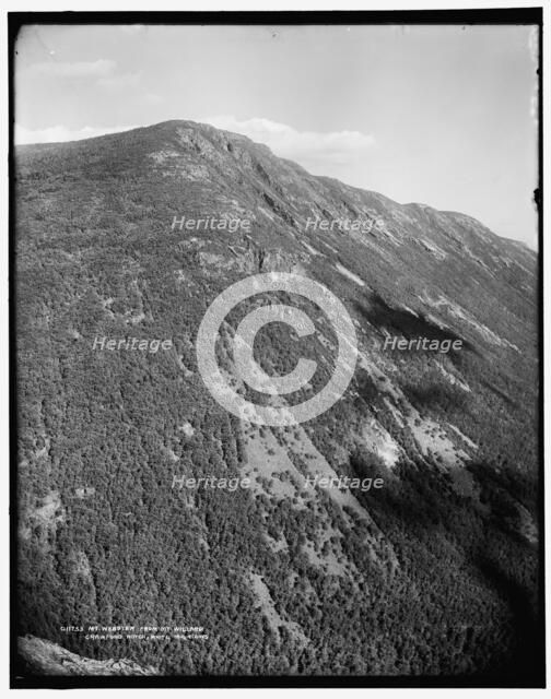 Mt. Webster from Mt. Willard, Crawford Notch, White Mountains, between 1890 and 1901. Creator: Unknown.