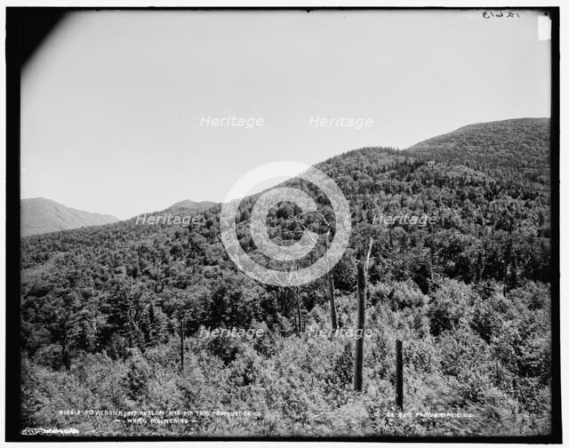 Mt. Webster, Mt. Avalon, and Mt. Tom, White Mountains, between 1890 and 1901. Creator: Unknown.