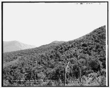 Mt. Webster, Mt. Avalon and Mt. Tom from Mt. Echo, White Mountains, between 1890 and 1901. Creator: Unknown