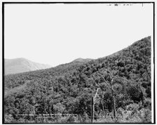 Mt. Webster, Mt. Avalon and Mt. Tom from Mt. Echo, White Mountains, between 1890 and 1901. Creator: Unknown