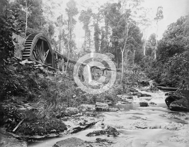 Mt Tamborine water wheel, Queensland, 1892. Creator: Poul C Poulsen.