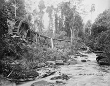 Mt Tamborine water wheel, Queensland, 1892. Creator: Poul C Poulsen