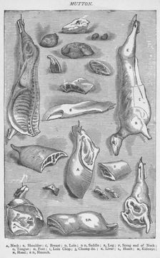 Mutton 1907, (1907)
