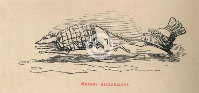 'Mutual attachment', 1852. Artist: John Leech.