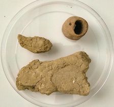 Mud Fragments, Coptic, 4th-7th century. Creator: Unknown