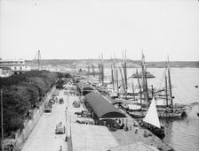 Muelle "Paula", Havana, Cuba, c1904. Creator: Unknown