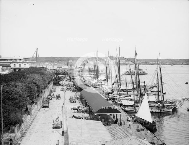 Muelle "Paula", Havana, Cuba, c1904. Creator: Unknown.