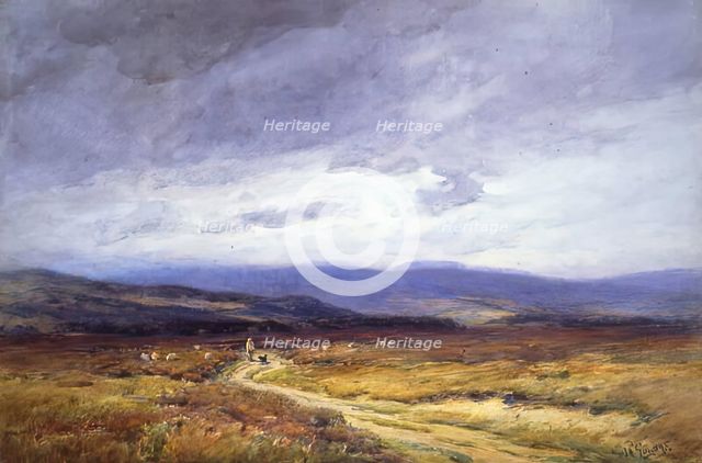 Muir of Dinnet, 1900-1924. Creator: George Russell Gowans.