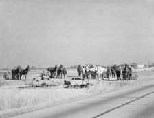 Mule teams near Montgomery, Alabama, 1935. Creator: Walker Evans