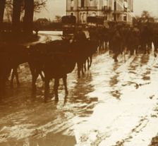 Mule train with supplies, Verdun, northern France, c1914-c1918