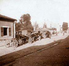 Mule wagons with supplies, Verdun, northern France, c1914-c1918