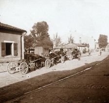 Mule wagons with supplies, Verdun, northern France, c1914-c1918