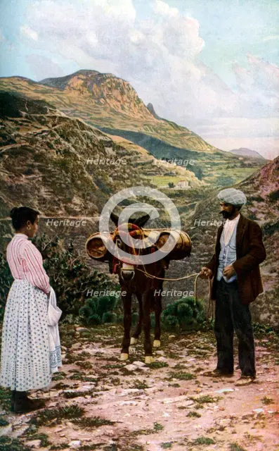 Mule with water kegs, Sicily, Italy, c1923. Artist: AW Cutler