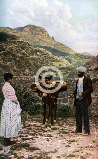 Mule with water kegs, Sicily, Italy, c1923. Artist: AW Cutler