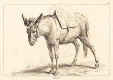 Mulet (Mule or Saddled Donkey). Creator: Jacques Philippe Le Bas