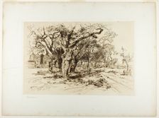 Mulford's Orchard, Easthampton, 1883. Creator: Thomas Moran