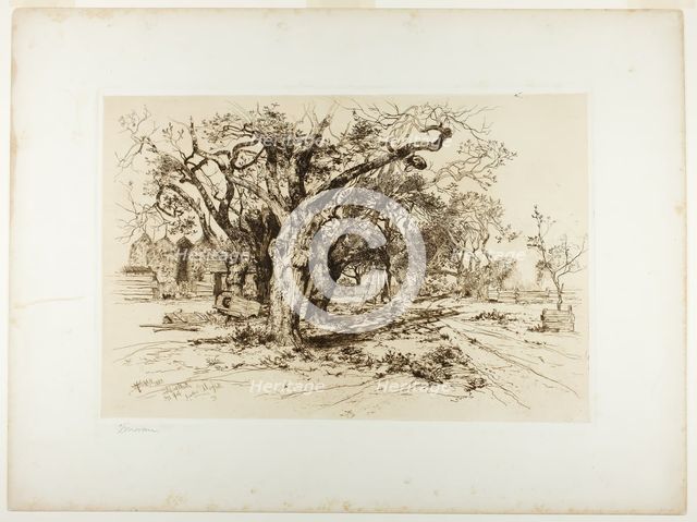 Mulford's Orchard, Easthampton, 1883. Creator: Thomas Moran.