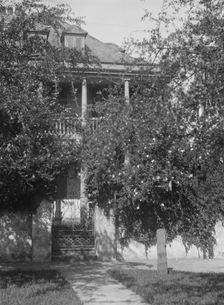 Multi-story house behind trees, [George Eveleigh House, 39 Church Street], Charleston..., c1920-1926 Creator: Arnold Genthe