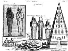 Mummies and embalming, 1725