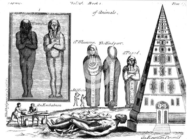 Mummies and embalming, 1725. Artist: Unknown