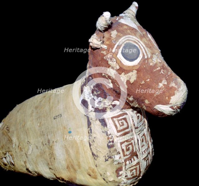 Mummified bull, from Thebes, Egypt, Roman Period, after 30 BC. Artist: Unknown