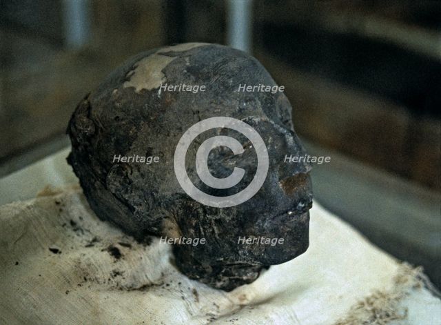 Mummified head of the royal team boss. From the tomb of Nebera.