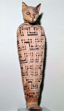 Mummy of a cat, Abydos, Upper Egypt Roman Period, perhaps 1st century