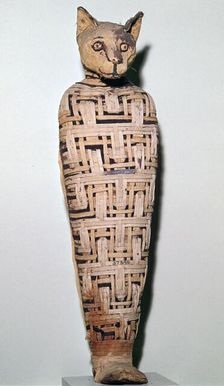 Mummy of a cat, Abydos, Upper Egypt Roman Period, perhaps 1st century