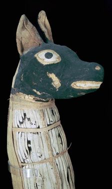 Mummy of a dog possibly representing Anubis