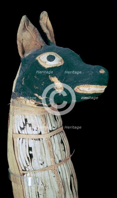 Mummy of a dog possibly representing Anubis. Artist: Unknown